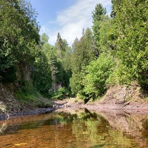 Meet your Posher, Liam